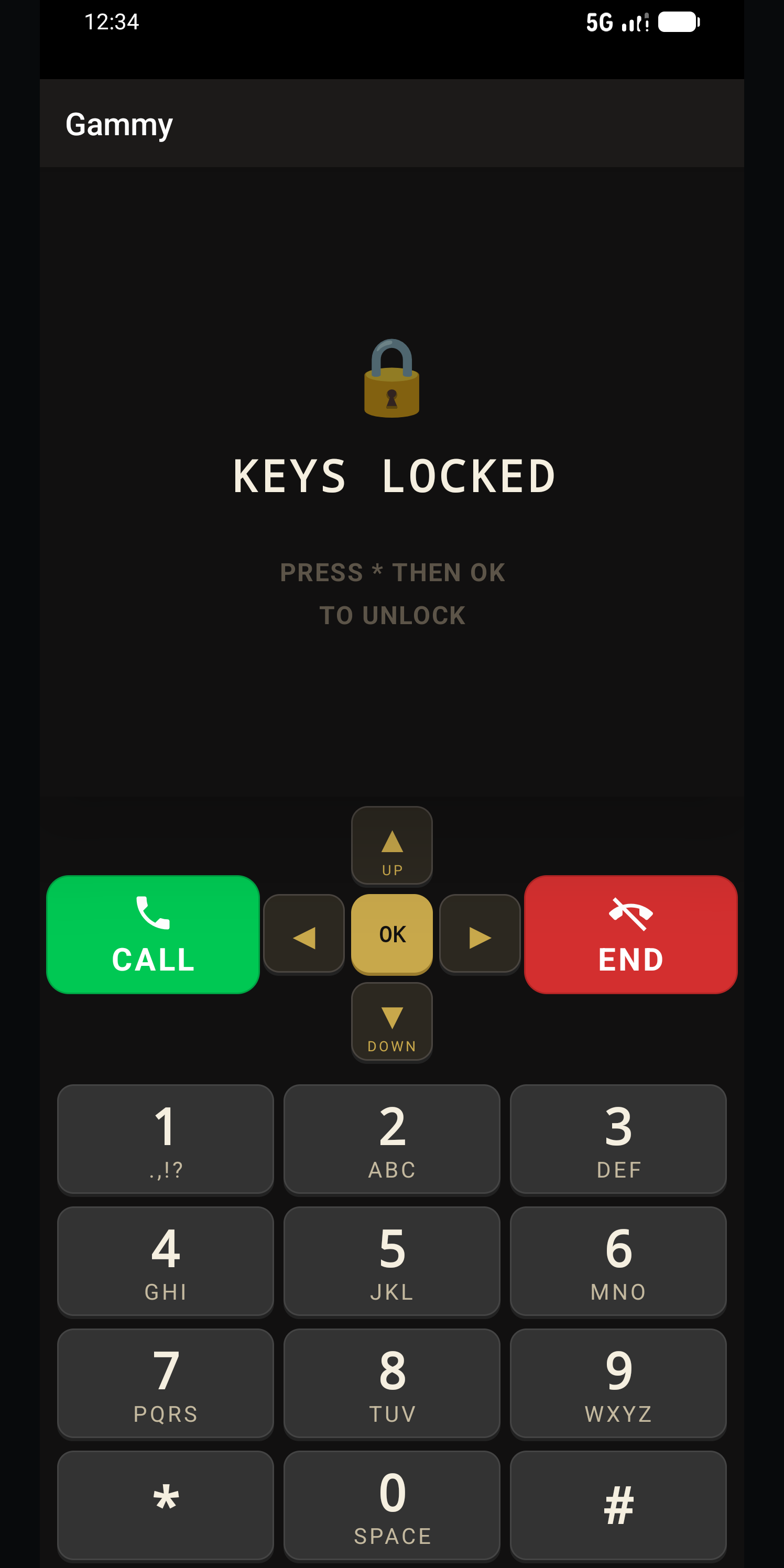 Gammy home screen with large clock and quick contacts